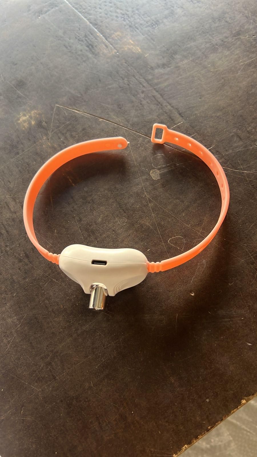 Pet Laser Collar Self Teasing Toy- NitZ